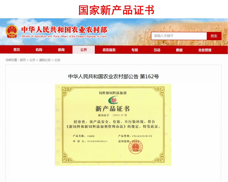 news03.jpg news03.jpg